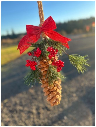 Pinecones